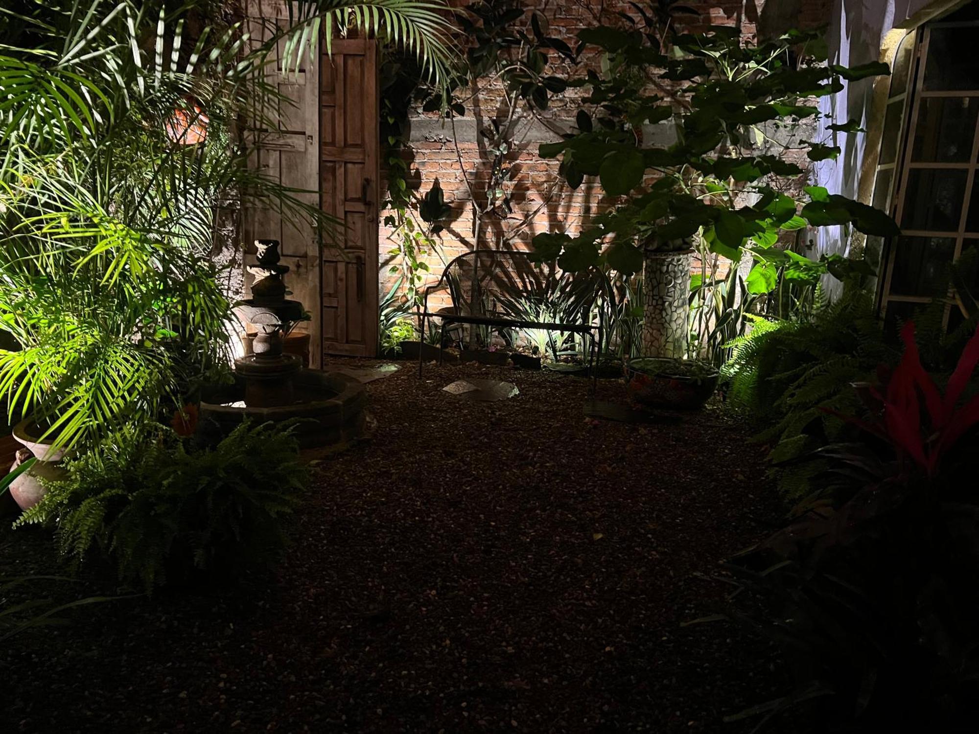 Boutique Hotel Casa Camellia San Miguel de Allende Exterior foto